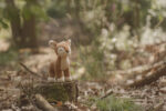 Little Dutch Srnka Fairy Garden