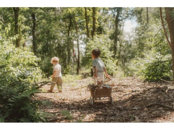 Little Dutch Líška Forest Friends