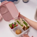 B.Box Box na občerstvenie stredný Blush Crush – Desiatové boxy pre deti z e-shopu Naša Bublinka Martin | detský obc...