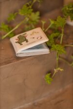 Filibabba Knižka do vane Dino Beach – Hračky na von a do vody pre deti z e-shopu Naša Bublinka Martin | detský obcho...