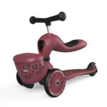 SCOOT & RIDE Odrážadlo kolobežka 2v1 Highwaykick 1 Lifestyle Wildcat