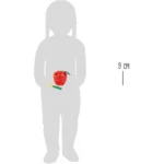 Small Foot by Legler Prevliekanie Jablko – Hračky od 3 do 6 rokov pre deti z e-shopu Naša Bublinka Martin | detský ob...