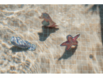 Little Dutch Hračky na potápanie 3 ks Dreamy Mermaid – Hračky pre deti z e-shopu Naša Bublinka Martin | detský obch...