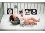 Taf Toys Sada hračiek Bedtime Kit